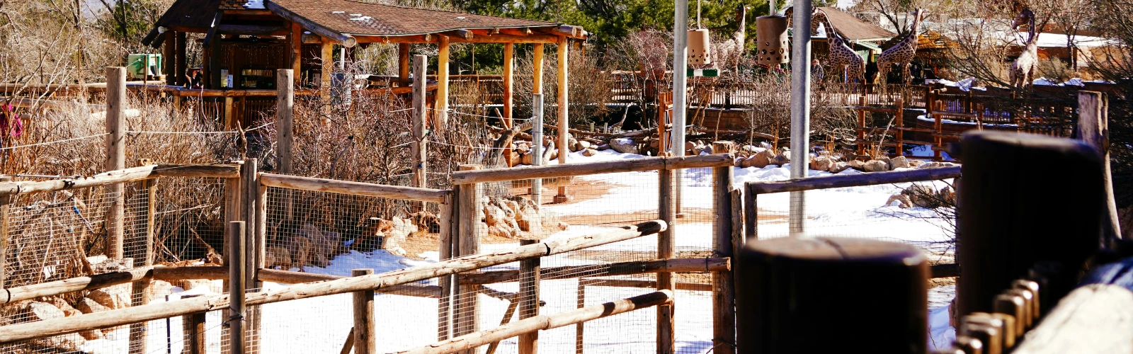 Family-Friendly Fun in Colorado Springs: Activities and Attractions for All Ages