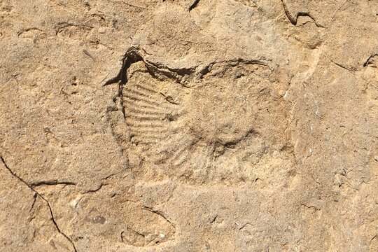 Tour image 6